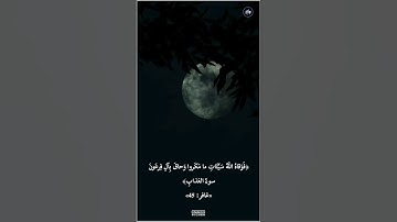 ﴿وَأُفَوِّضُ أَمري إِلَى اللَّهِ إِنَّ اللَّهَ بَصيرٌ بِالعِبادِ﴾ تلاوة خاشعة ومبكية بصوت فارس عباد
