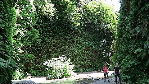 Hiking to Fern Canyon via Miners' Ridge and James ...