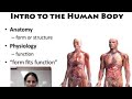 Introduction to human body (chapter-1) of anotomy and physiology Bsc nursing first year