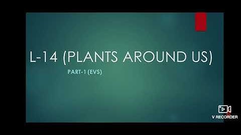 Class-1, Subject-EVS, Video-28, Chapter-14, Part-1 by Mrs Sunidhi