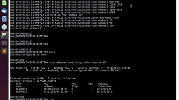 Switch Juniper 4300 ver mac en vlan