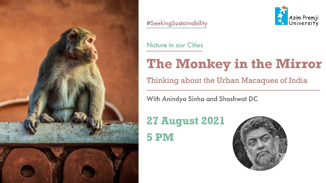 Monkeys in the City: The Urban Wildlife Syndrome and the