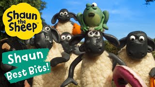 Pond Life | Shaun The Sheep Best Bits Season 6