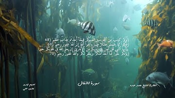 تلاوة هادئة للقارئ الشيخ محمد عبده - سورة الانفال 🌖🤍