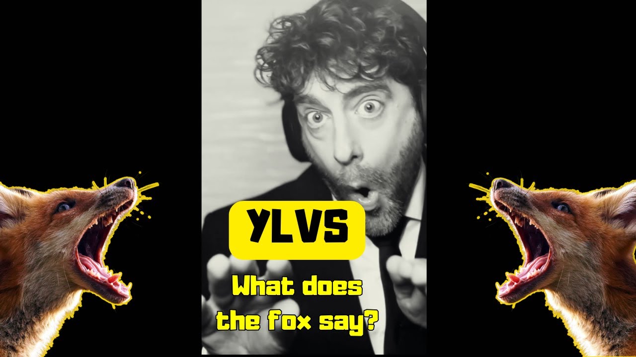 What Does the Fox Say? – Ylvis | Sövegjártó Áron | VERSmindenÁRON - YouTube