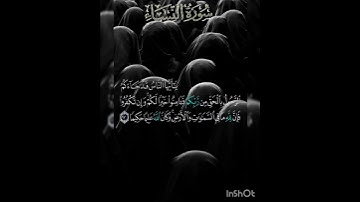 سوره النساء عدد آياتها ١٧٦ آيه (سوره مدنيه ) الآيه ١٧٠ #تيك_توك #لايك #صباح_الخير