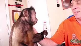 Monkey Art Time! by MonkeyBoo 8,851 views 1 year ago 6 minutes, 24 seconds
