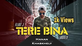 Flint J ft. Hanan. Bohemia - Tere Bina ( Official video Song) | Latest Songs 2019 | The EpiC Studio