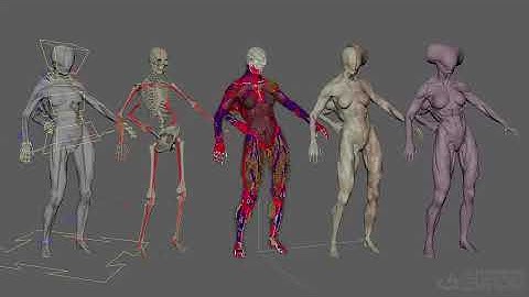 Introduction to Ziva VFX: Volume 2 with Madhav Shyam