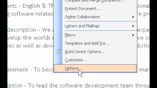 Microsoft Office Word 2003 Print property information with the document