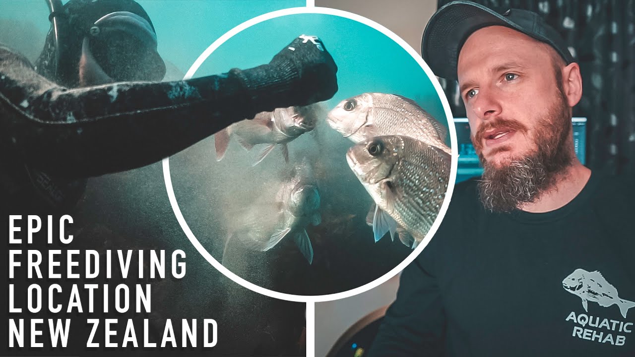 Epic Freediving / Snorkelling Location In New Zealand - A Cinematic Look At Goat Island