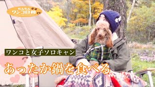 愛犬のトイプードルと秋のソロキャンであったか鍋