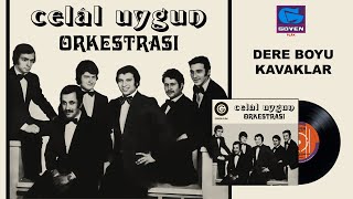 Celal Uygun Orkestrası - Dere Boyu Kavaklar - Orijinal 45'lik Kayıtları Remastered Resimi