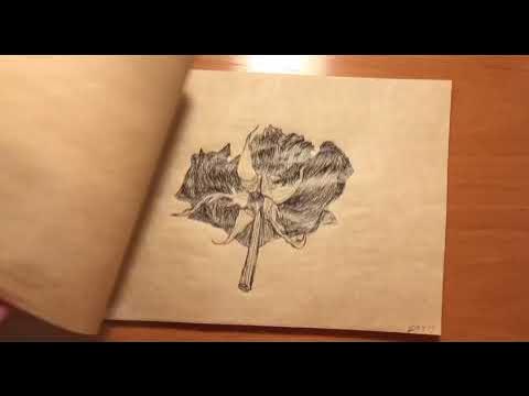 Рисовать за 100 дней- день 2 - YouTube