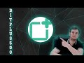 BitPlus500 - Уникальная платформа для торговли!