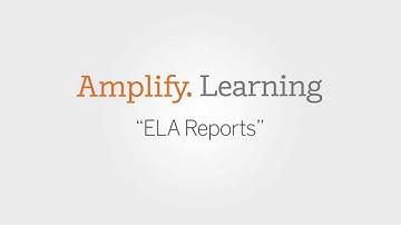 Amplify MS Reports