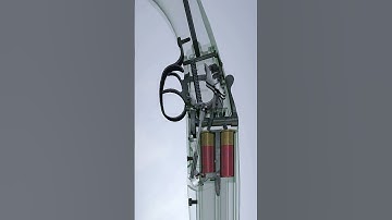 Double-Barreled shotgun