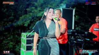 PAEYLAND MUSIC - MEETING 2 - SELLY PRAWOTO | WEDDING SYAIFULLAH & SOFIA - KEDUNGCINO JEPARA