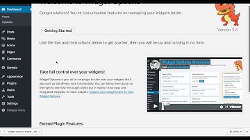 Easily Migrate from Display Widgets Plugin to Widget Options for WordPress