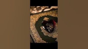 من أجمل ما قرأ القارئ أمين موسى. ج١٢٣