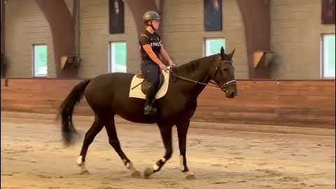 WhatsApp Video 2025 09 20 at 09 34 32