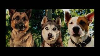 Marmaduke Ending