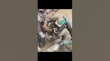 Welding in a little bit of mud on the pipeline 💪 #pipeline #bluecollar #rigwelder #welder