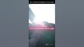How Polarized Sunglasses Erase Glare