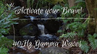 ACTIVATE your BRAIN | 40Hz Gamma Brain frequencies with relaxing ambient nature sounds screenshot 3