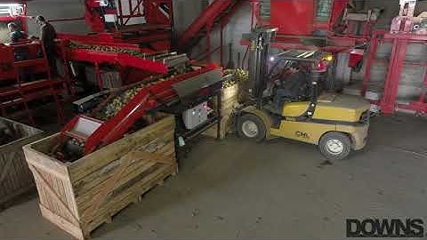 Potato box filler DOWNS DBF / remplisseur de caisses DOWNS DBF pour pommes de terre