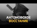 Русские тайны. ХХ век. Антоновское восстание | History Lab