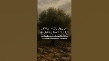 الشيخ سعود الفايز من سورة يوسف