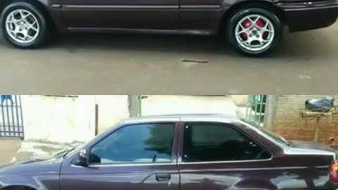 Logus e pointer amantes. VW