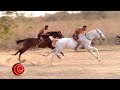 HORSE RACING / CARRERA DE CABALLOS 🐎 🏁 🐎 RECOPILACIÓN 4
