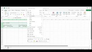 Lisa - File Management with Excel and Folders, pt 4 (Create a copy of your worksheet)