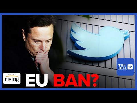 Read more about the article EU Warns Elon Musk Bring Back Twitter Misinformation Policies Or Face BAN In Europe – The Hill