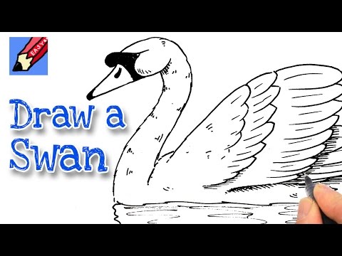 How to draw a swan