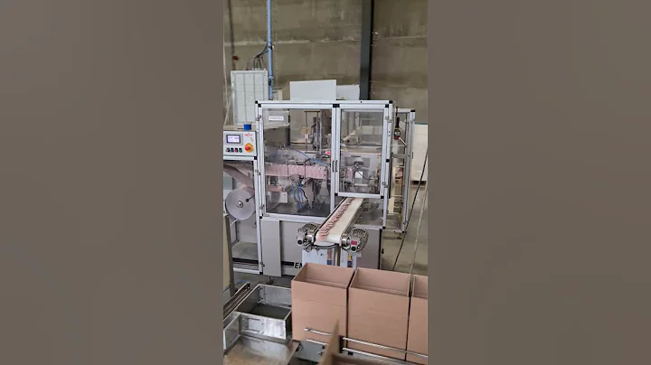 Enflex F11 Horizontal sachet packaging machine
