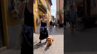Walking in limone sul garda italy 🇮🇹