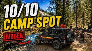 A Hidden 10/10 Camp Spot in the Stanislaus Forest
