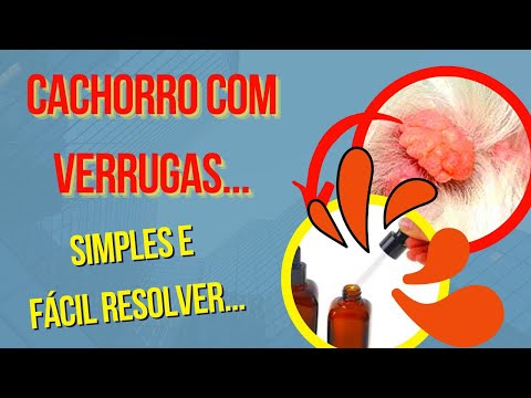 Vídeo: Como livrar uma cobaia de ácaros