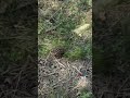 Apocalyptic Images Of The Explosion In Beilghan Karaj 