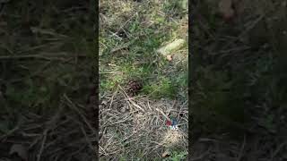 تصاویر آخرالزمانی از انفجار در بیلقان کرج