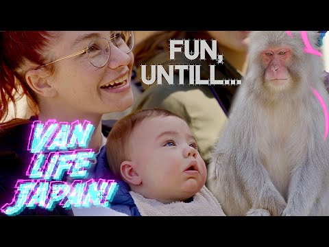 Snow Monkey Park (Jigokudani Yaen Koen) Nagano • Japan van life trip e14