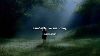 Bahçemizin Halinden Baharımı Kıyasla/Bağzıları #lyrics #music #song #love #slow #türkçemüzik #songs Resimi