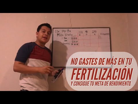 Video: ¿Cómo se calcula el fertilizante por hectárea?