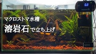 溶岩石 Youtube