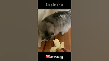 🍌 Сам ешь банан | #shorts лучшие приколы 2021 тик ток