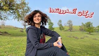 سفر به گرگان پیک نیک و دورهمی با دوستام