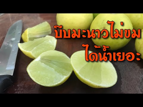 วิธีเก็บมะนาว กินนานๆ บีบมะนาวไม่ให้ขม ได้น้ำเยอะ | แม่บ้านรีวิว